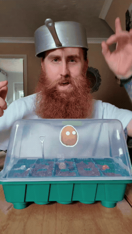 Plants Vs Zombies GIF