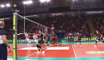 Volleyball GIF
