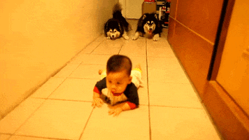 baby crawling GIF