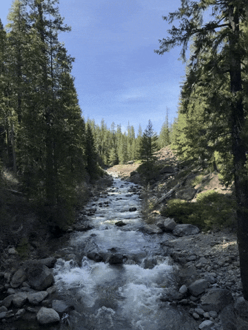 River GIF