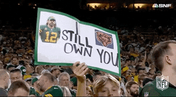 Owns Green Bay Packers GIF by NFL