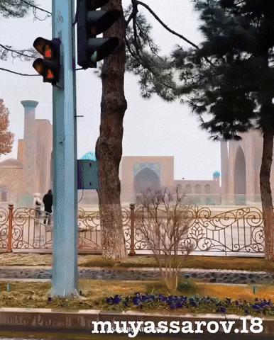 Uzbek Uzbekistan GIF