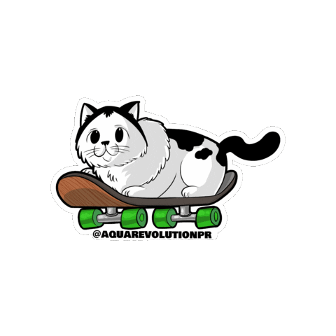 Cat Skating Sticker by Aqua Revolution