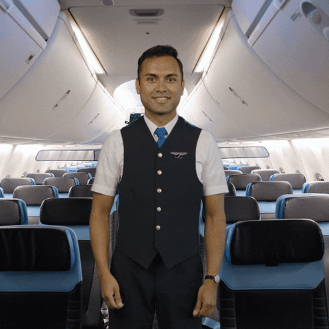 Royal Dutch Airlines Thumbs Up GIF by KLM