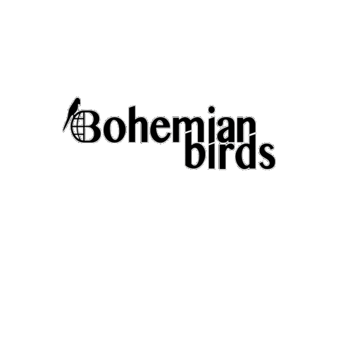 Sticker by bohemianbirds