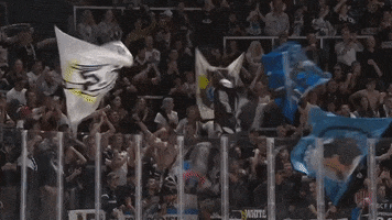 Fans Suisse GIF by Champions Hockey League