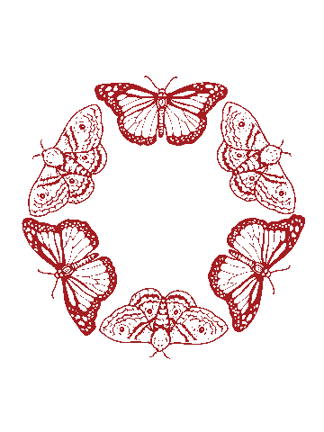 Butterfly Sticker