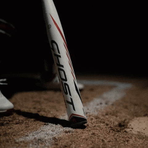 South Carolina Celebration GIF by Gamecock Athletics