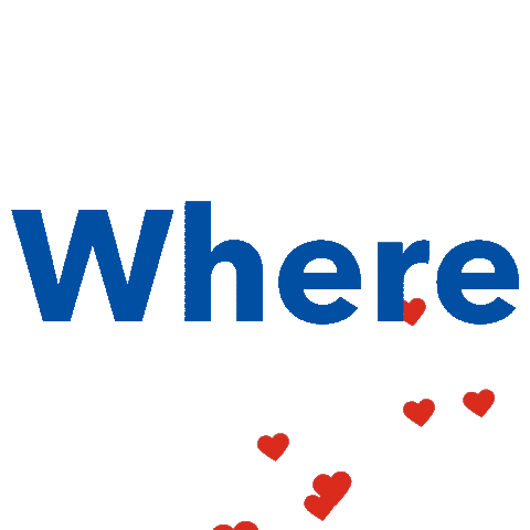 Bravo Supermarkets Sticker