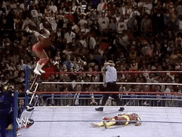 Randy Savage Sport GIF by WWE