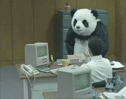 Image result for panda smashing computer gif