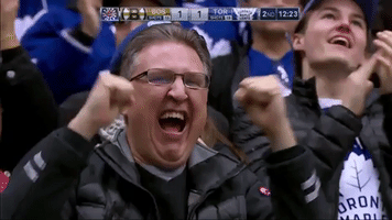 Toronto Maple Leafs GIF