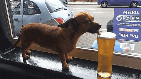 giphy.gif?cid=790b761155ae887f85c4ff8e7e