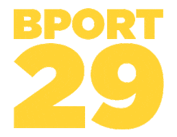 Suny Sticker by Brockport