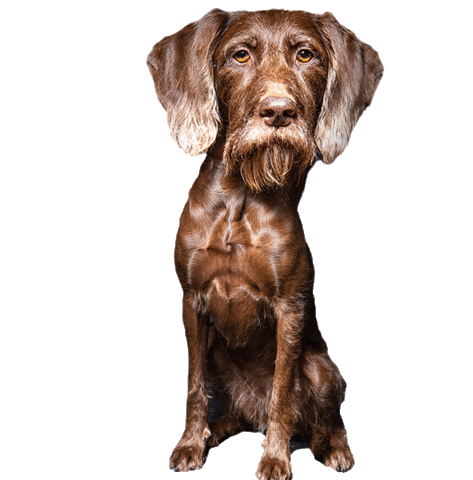 helgaaamanufaktur Sticker