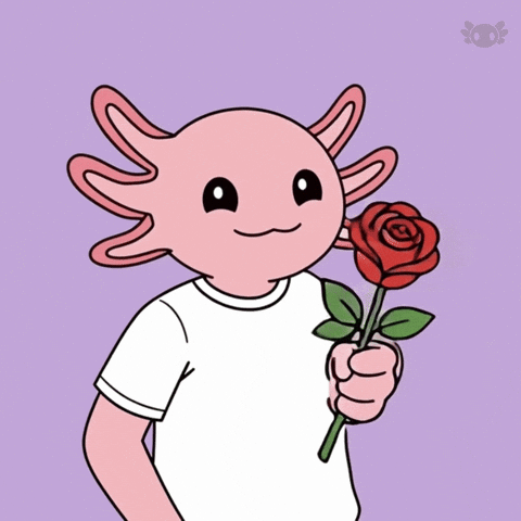 Women Love GIF