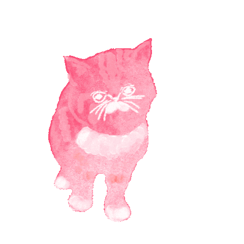 Cat Heart Sticker
