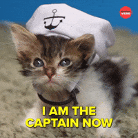 International Cat Day Cats GIF by BuzzFeed International Cat Day Cats GIF by BuzzFeed