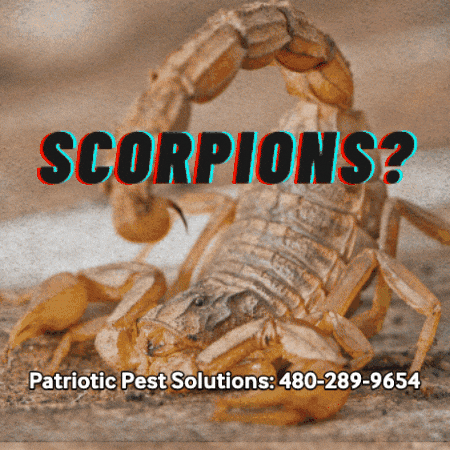 Ppsteam GIF by Patriotic Pest Solutions