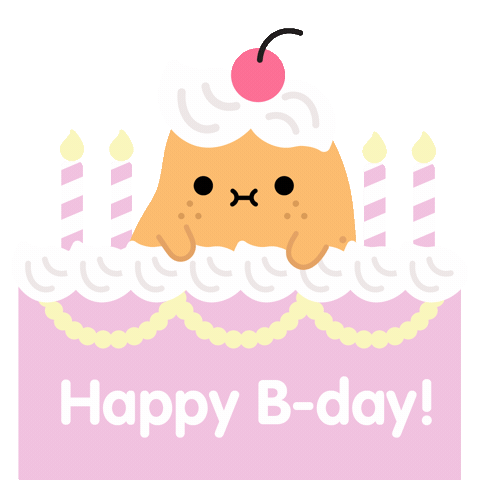Birthday Bday Sticker by Noodoll