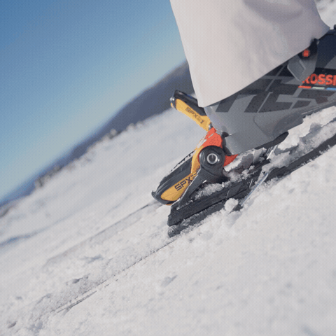 GIF by Thredbo