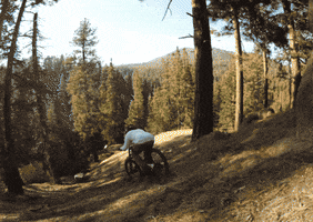 Send It Mountain Bike GIF by YT Industries