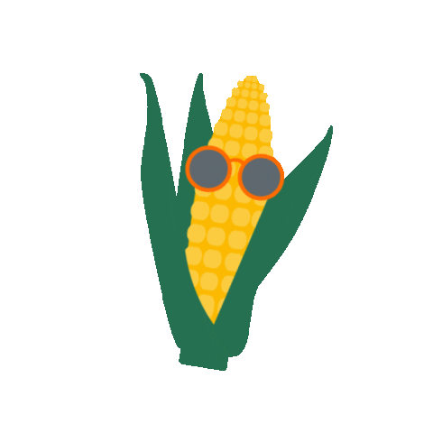 animated corn field