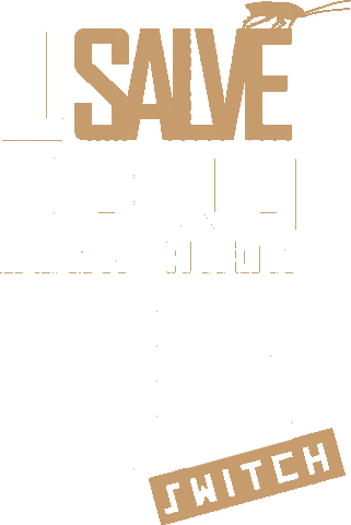 Salve Sticker by INSUURGE