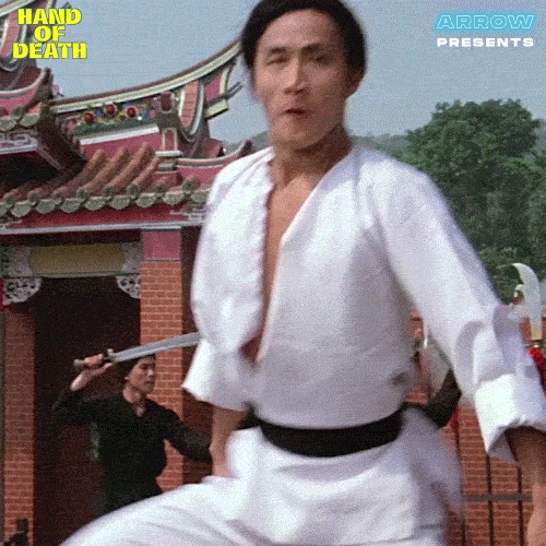Lets Go Fight GIF by Arrow Video