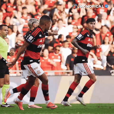 Flamengo GIF