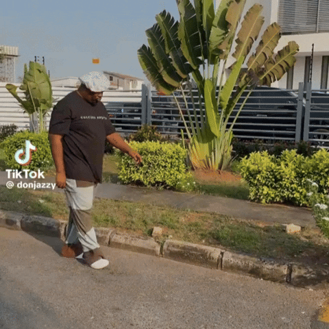 Walking Dancing GIF by Don Jazzy