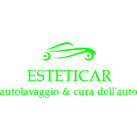 Car Detailing Sticker by Esteticar
