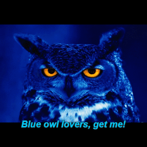 asdafil owl pendant necklace GIF