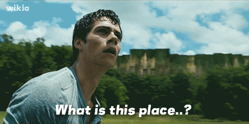 Maze Runner Scorch Trials Fan GIF